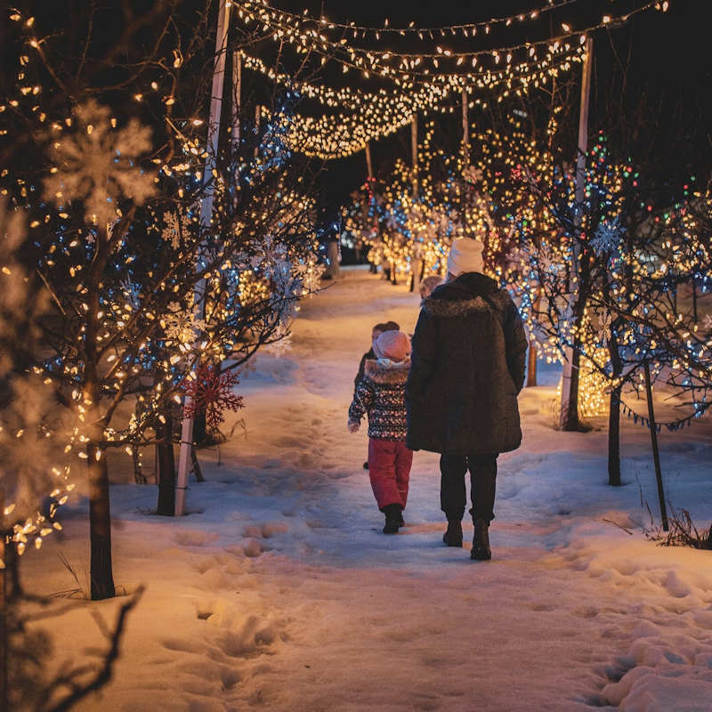 Northern Lights Estate Winery